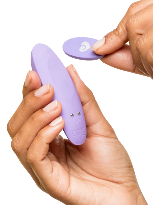 Lovehoney Panty Vibrator v:5347626