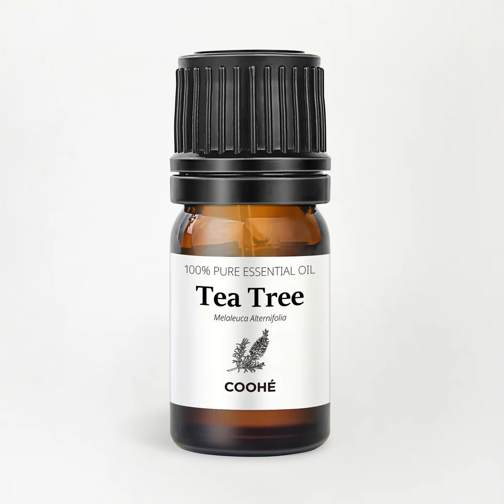 Tea Tree Essential Oil 5 ml – COOHÉ v:7190341 Tea Tree Essential Oil 5 ml – COOHÉ v:7190341