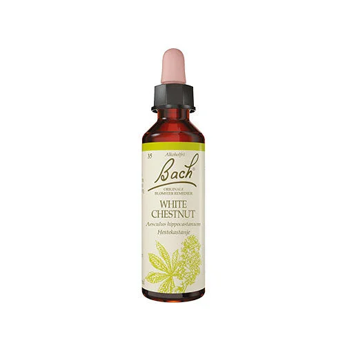 Bach Originale Blomsterremedier | Hestekastanje v:8042421