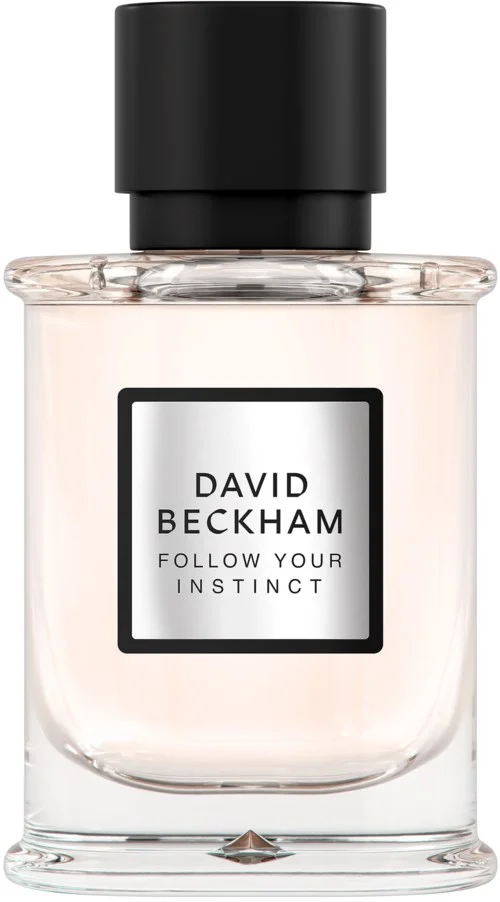 David Beckham Follow Your Instinct Follow Your Instinct Eau de Parfum For Men 50 ml v:5293966