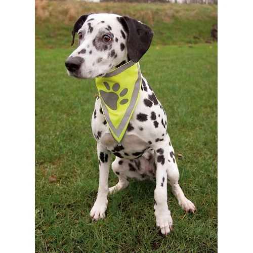 Trixie bandana m. refleks – S/M v:4908225 Trixie bandana m. refleks – S/M v:4908225