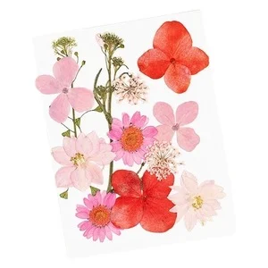 GLITTERNISTI Face Flowers Pink and Greens v:3954587