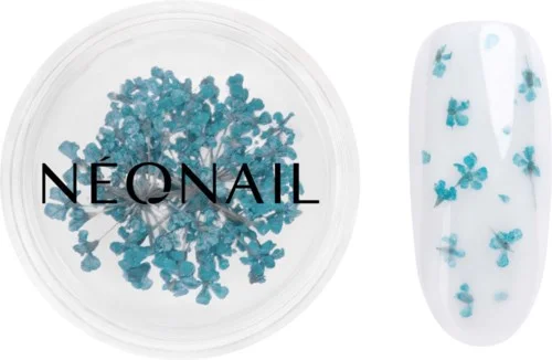 NEONAIL Dried flowers v:4809210