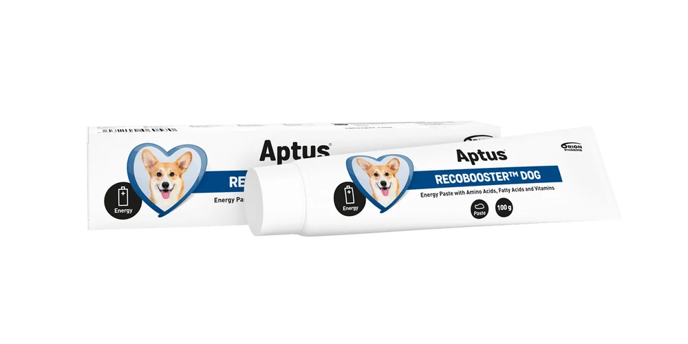 Aptus RecoBooster Dog v:8914191