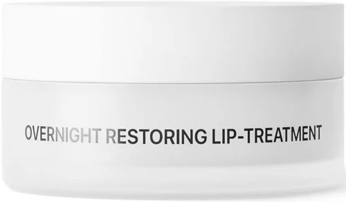 NICHE BEAUTY LAB Transparent Lab Overnight Restoring Lip-Treatment 15 ml v:5332947